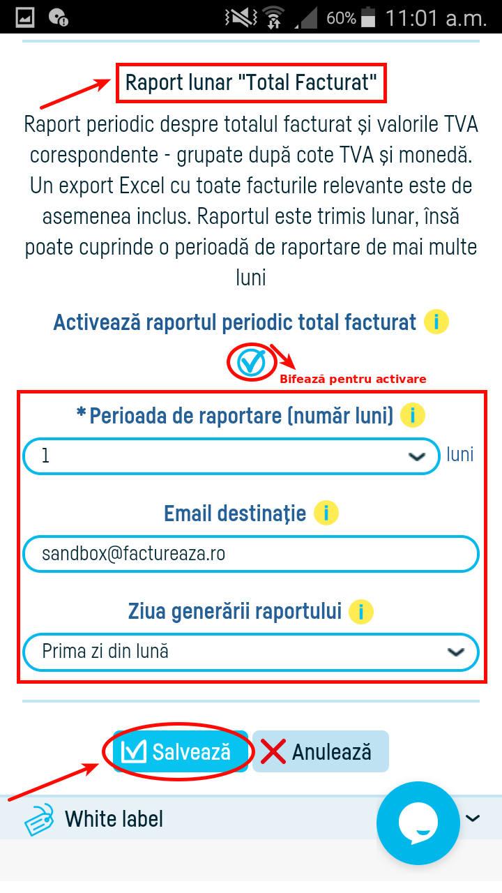 Rapoartele activitate cont şi raportul total facturat - pasul 4