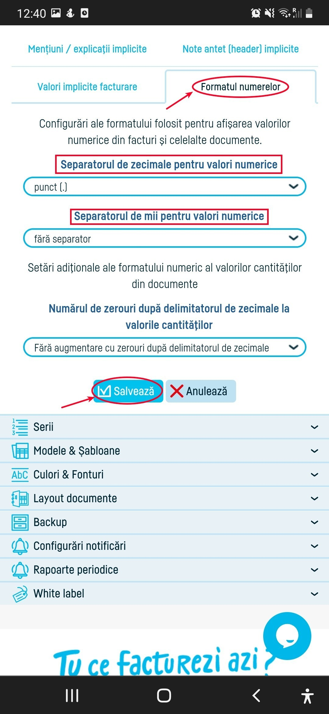 Formatul valorilor numerice în facturi - pasul 3